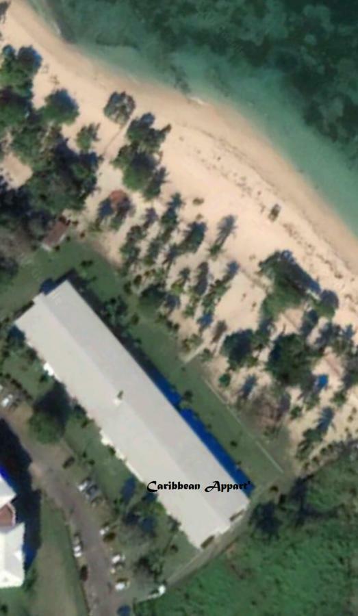 Caribbean Appart' Le Moule Bagian luar foto